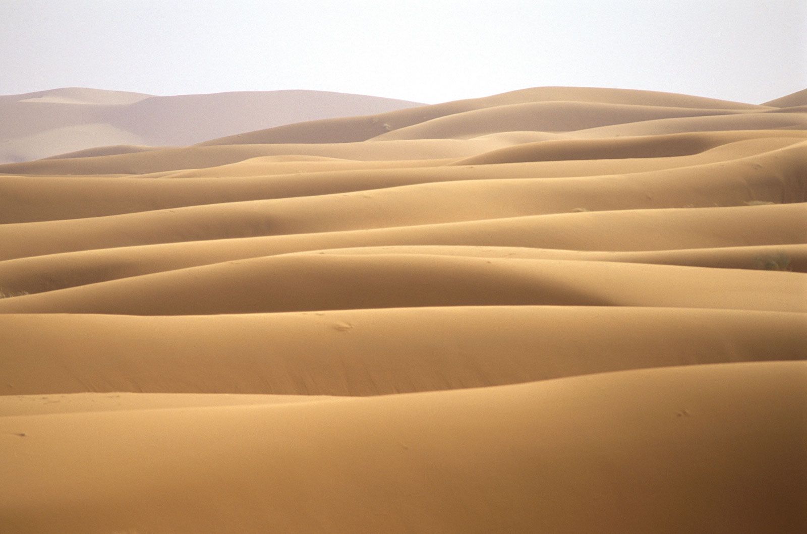 Desert Sand Dunes
